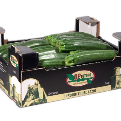  Cassetta Zucchine