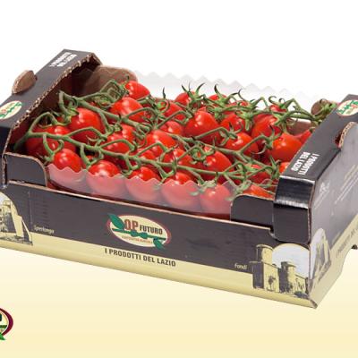 Ortobox 2 Kg